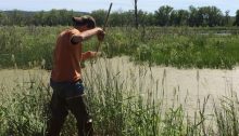 BLSG Insect Control District